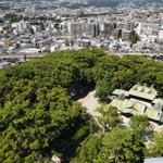 市街地にこんもり。緑豊かな「えびすの森」＝西宮市社家町