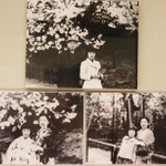 谷崎の一家全員が楽しみにしていた花見の記念写真＝芦屋市伊勢町、谷崎潤一郎記念館