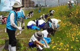 過去の活動で武庫川を清掃するメンバー＝西宮市内（提供）