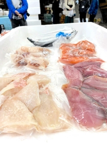 無償提供された水産物＝尼崎市潮江４、尼崎市公設地方卸売市場