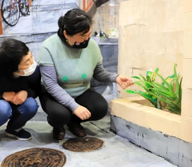 植え込みのアロエは、一つが本物で、もう一つは菓子の包装材で作った作品だ＝スペース○○