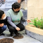 植え込みのアロエは、一つが本物で、もう一つは菓子の包装材で作った作品だ＝スペース○○