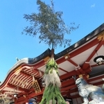 拝殿前に設置された「逆さ門松」＝西宮神社