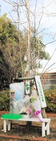 震災翌年の１９９６年に植えられた「祥子の木」。この日は打出浜小学校や近隣校の児童らが手を合わせて花を手向けた＝２０２２年１月１７日午前、芦屋市新浜町、芦屋市立打出浜小学校