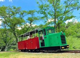 緑色の機関車、赤い客車が特徴（能勢電鉄提供）