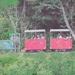 新緑に溶け込むように走行するカラフルなトロッコ列車（２００１年９月９日掲載）