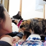 田中美紗さんと保護猫のチロ（田中さん提供）