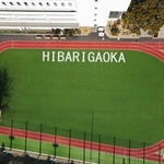 人工芝が鮮やかな校庭＝宝塚市雲雀丘４