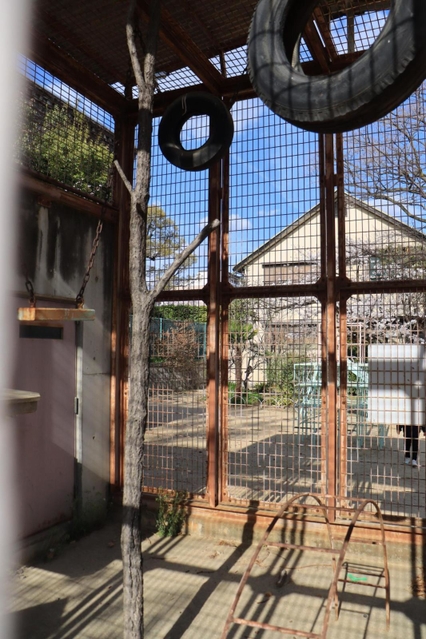 檻の中には猿が遊んだタイヤなどが残る＝打出公園