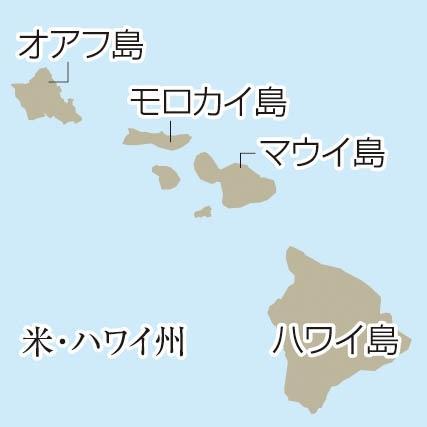 神戸新聞ＮＥＸＴ