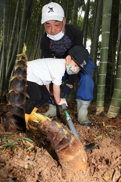 タケノコを掘る子どもら＝尼崎市農業公園