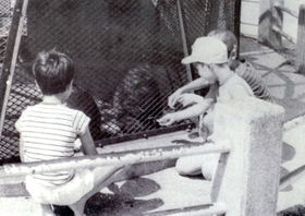 檻の中の猿を見る子どもたち＝１９６０年代ごろ、打出公園（芦屋市提供）