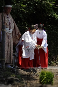 「めぐみ広田の大田植え」で田んぼを御神水で清める儀式＝西宮市大社町、広田神社