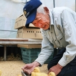 ひなに餌やりをする上殿さん＝猪名川町下阿古谷