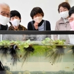 宇宙メダカの子孫の飼育を通じて交流を深める住民ら＝光明デイサービスセンター