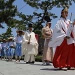 「めぐみ広田の大田植え」の参道を交信する行列＝西宮市大社町、広田神社
