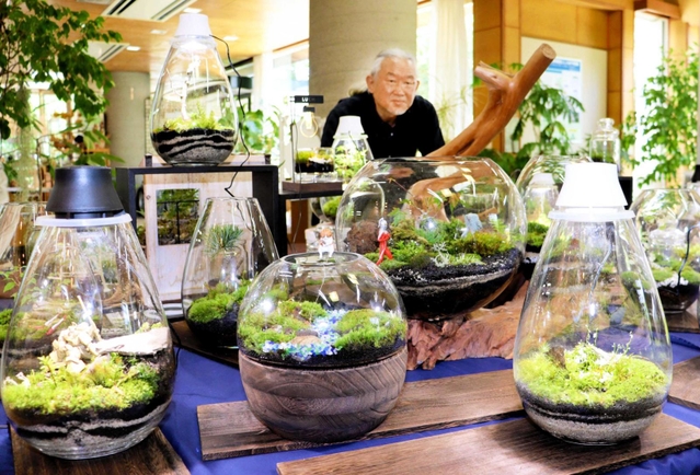 こだわりのコケテラリウム作品が並ぶ＝西宮市北山緑化植物園