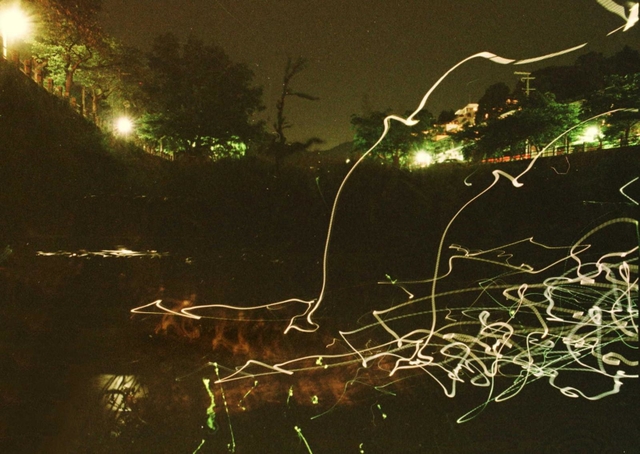 川面を舞うホタルの光跡＝２００３年５月２９日、芦屋市山芦屋町