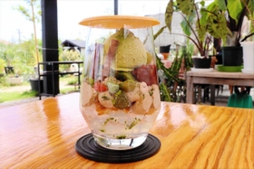 「苔パフェ」。カフェの外にはモデル庭園も＝ファミリーガーデン陽春園