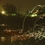 川面を舞うホタルの光跡＝２００３年５月２９日、芦屋市山芦屋町