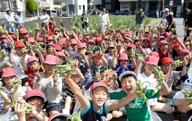 大きく実った富松一寸豆を手に喜ぶ尼崎北小の児童ら＝尼崎市富松町３ 