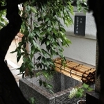お菊の井戸跡＝尼崎市、深正院
