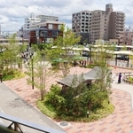 きれいになった広場＝尼崎市竹谷町２