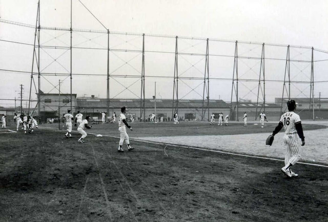 浜田球場で練習する阪神タイガースの選手たち。同球場が完成した１９７９年の撮影とみられる（阪神電鉄提供）