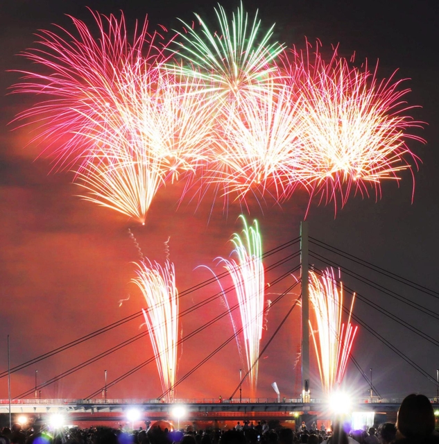夜空を彩る打ち上げ花火＝伊丹市口酒井（撮影・久保田麻依子）