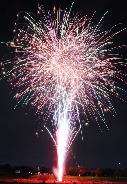 夜空を染める色とりどりの花火＝伊丹市東有岡４（撮影・池田大介）