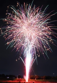 夜空を染める色とりどりの花火＝伊丹市東有岡４（撮影・池田大介）