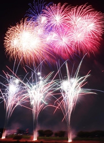 夜空を染める色とりどりの花火＝伊丹市東有岡４（撮影・池田大介）