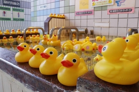 風呂の日に並ぶアヒルのおもちゃ＝西宮市津門大箇町、大箇温泉