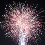 夜空を染める色とりどりの花火＝伊丹市東有岡４（撮影・池田大介）