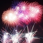 夜空を染める色とりどりの花火＝伊丹市東有岡４（撮影・池田大介）