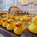 風呂の日に並ぶアヒルのおもちゃ＝西宮市津門大箇町、大箇温泉