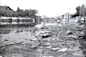 昭和４０年撮影の大物川。地盤沈下で流れが止まり、大量のごみが浮いている（尼崎市立地域研究史料館提供）
