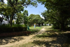 大物川を埋めた緑地で、ごみが浮いていた写真とほぼ同じ場所で撮影
