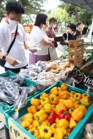 招福縁日十日市で新鮮な野菜を販売した露店＝西宮神社