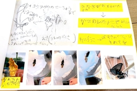 夏休みの自由研究で作成した「虫ずかん」。採取したアゲハチョウやニホントカゲの生態や気付いたことを記録している（安田さん提供）