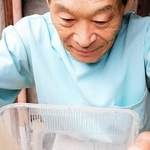 今中良広さん宅で見つかったシロマダラ＝宝塚市