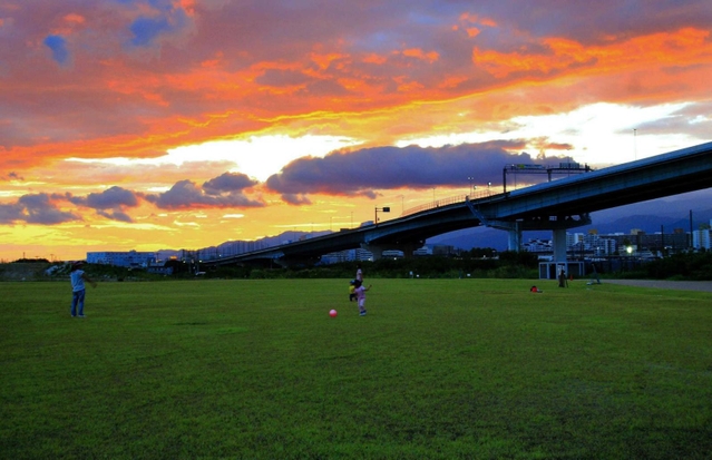 一面に広がる芝生。子どもたちがのびのびと遊ぶ＝尼崎市扇町