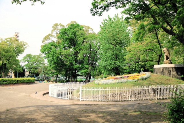 市役所隣にあり、さまざまな住民参加イベントが開かれる橘公園＝２０２２年５月、尼崎市東七松町１