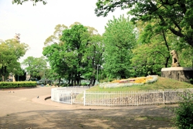 市役所隣にあり、さまざまな住民参加イベントが開かれる橘公園＝２０２２年５月、尼崎市東七松町１