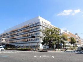 ２８日に開庁する新庁舎。大通り沿いのクスノキがシンボルツリーとして植わってる＝伊丹市千僧１