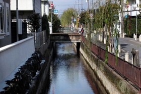水路沿いにはヤナギが植えられている