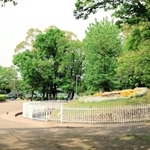 市役所隣にあり、さまざまな住民参加イベントが開かれる橘公園＝２０２２年５月、尼崎市東七松町１