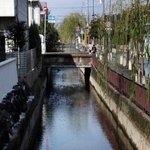 水路沿いにはヤナギが植えられている
