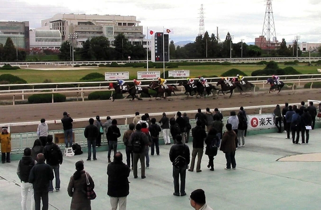 園田競馬場