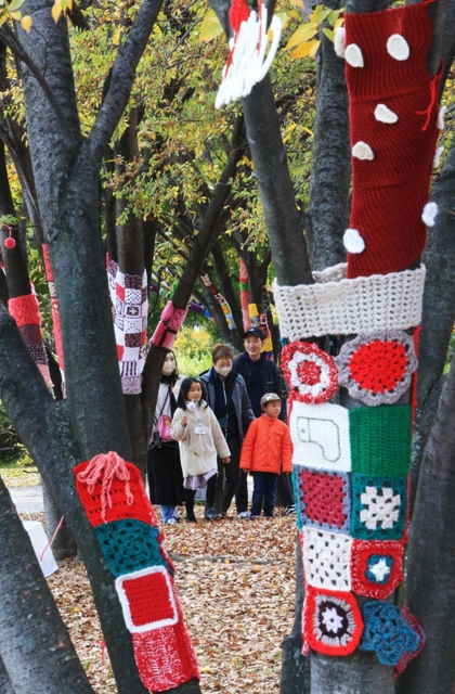 色とりどりの毛編み物で飾られたケヤキ＝芦屋市総合公園